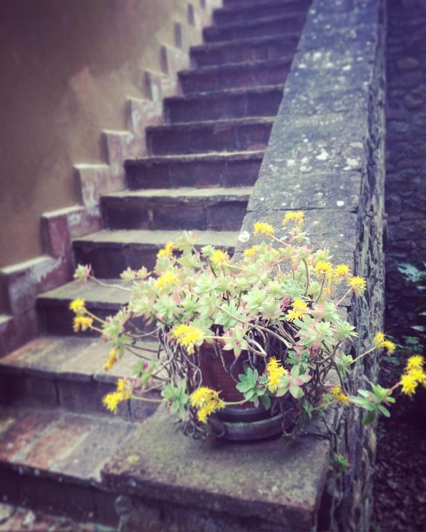 La Locanda Del Barbagianni ซานตาลูเช ภายนอก รูปภาพ
